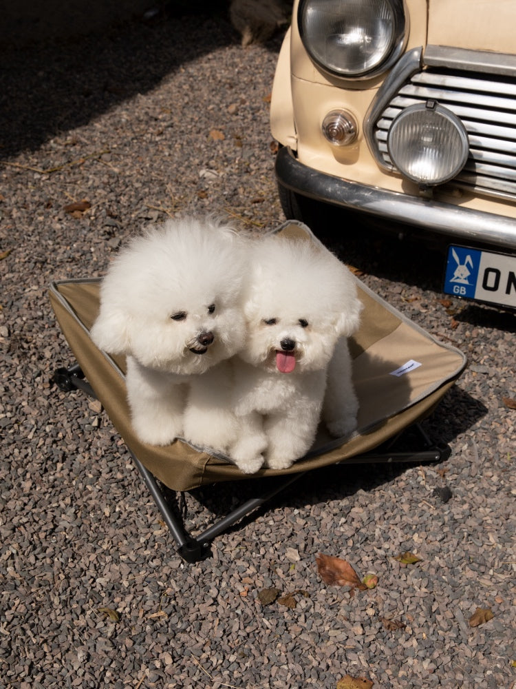 Moisture-Proof Foldable Pet Bed